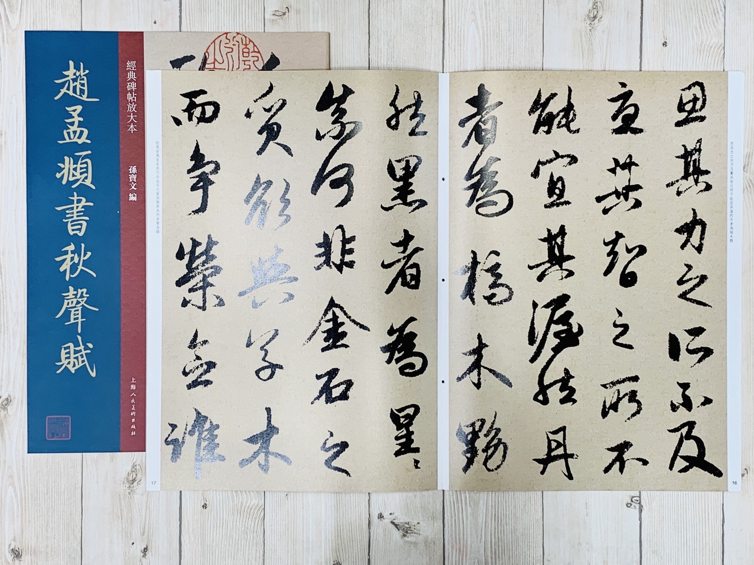 《趙孟頫書秋聲賦》經典碑帖放大本  孫寶文 上海人民美術出版社