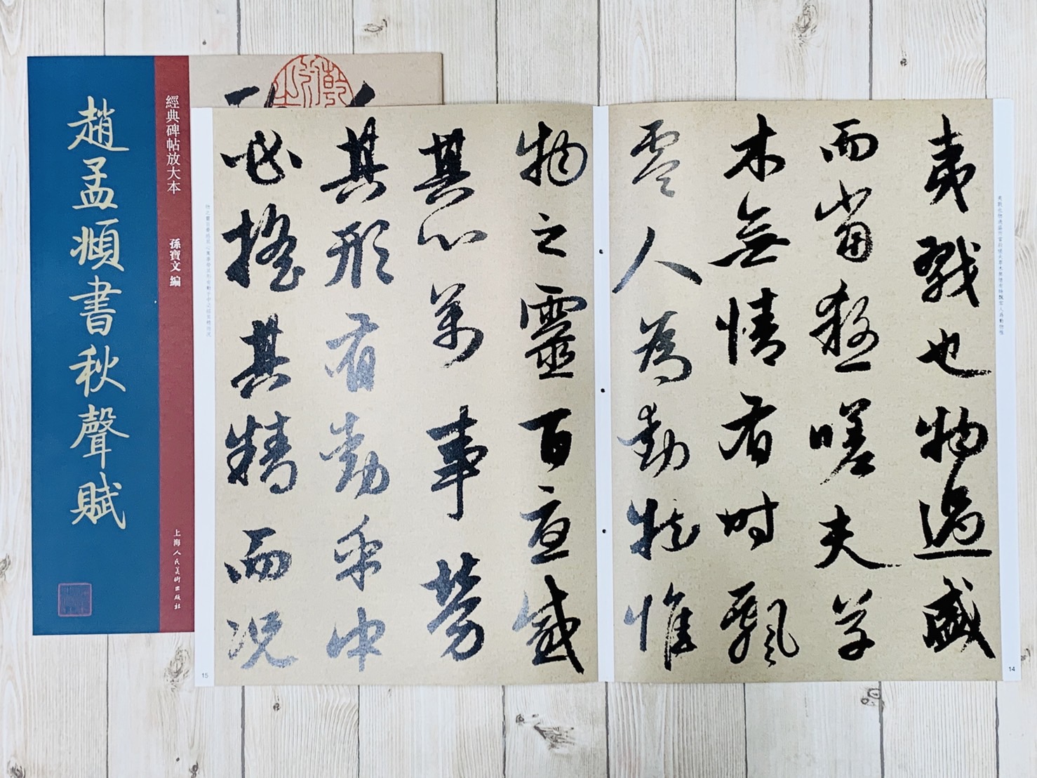 《趙孟頫書秋聲賦》經典碑帖放大本  孫寶文 上海人民美術出版社