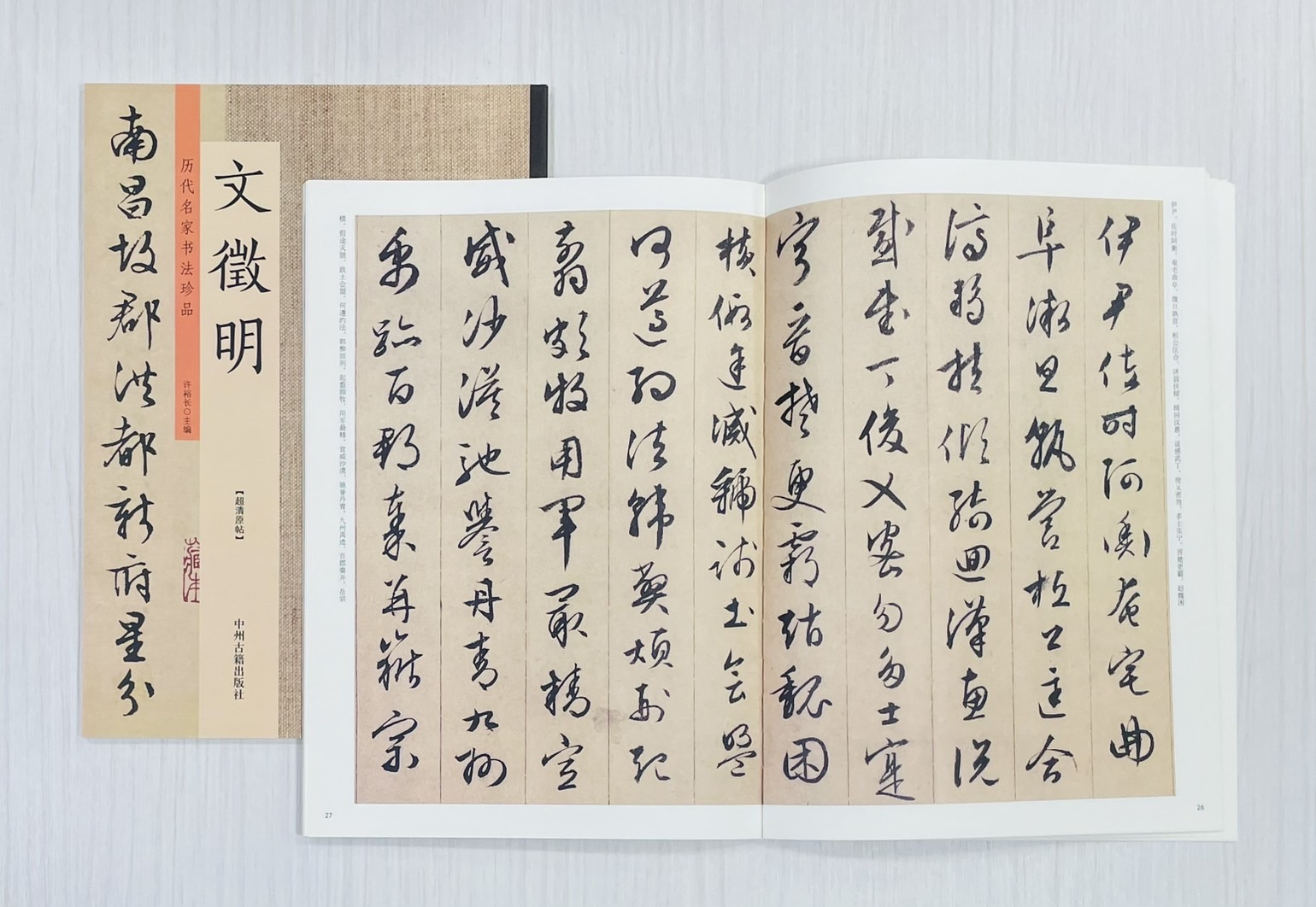 《歷代名家書法珍品 文徵明》 中州古籍出版社 許裕長 編著