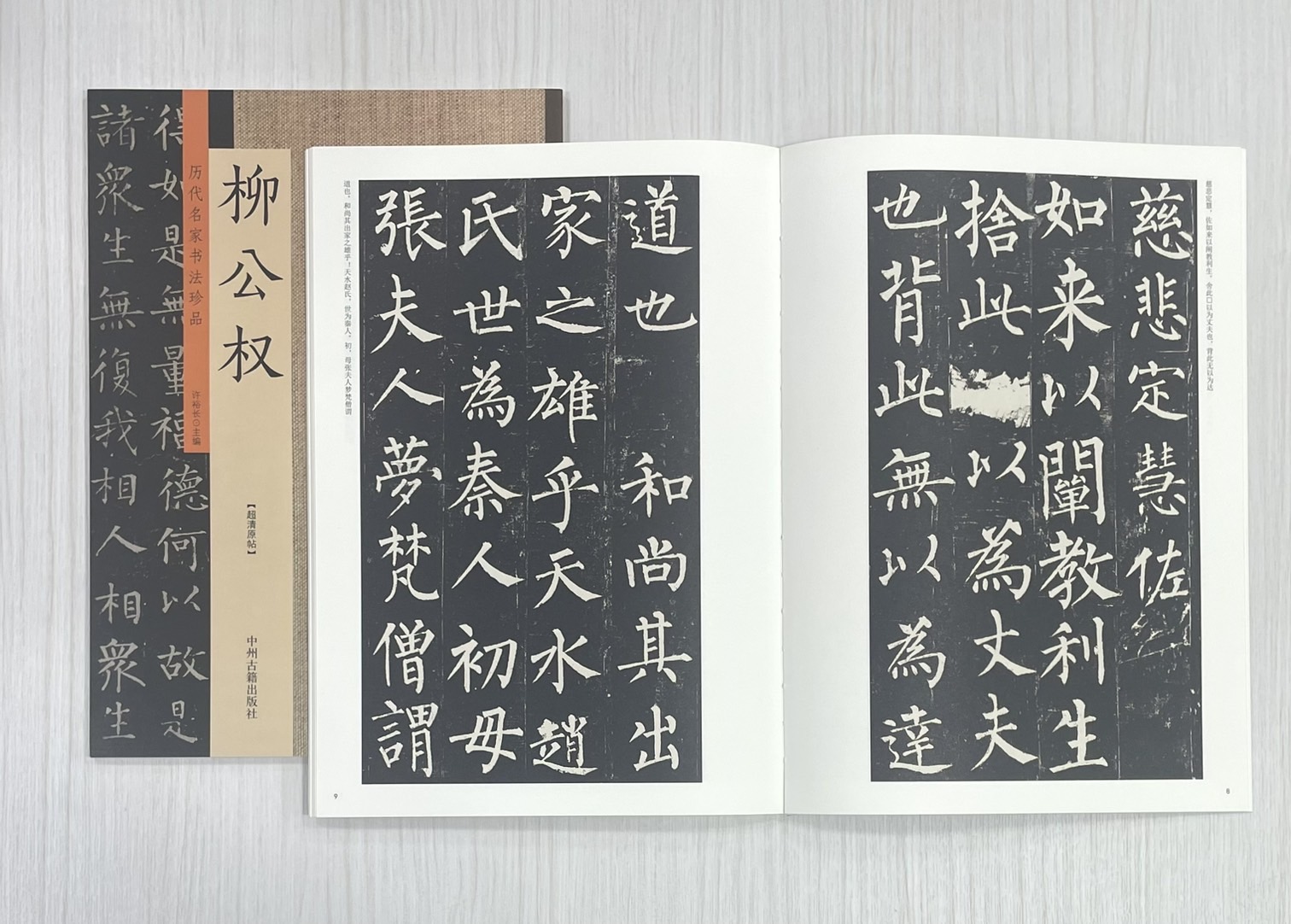 《歷代名家書法珍品 柳公權》 中州古籍出版社 許裕長 編著