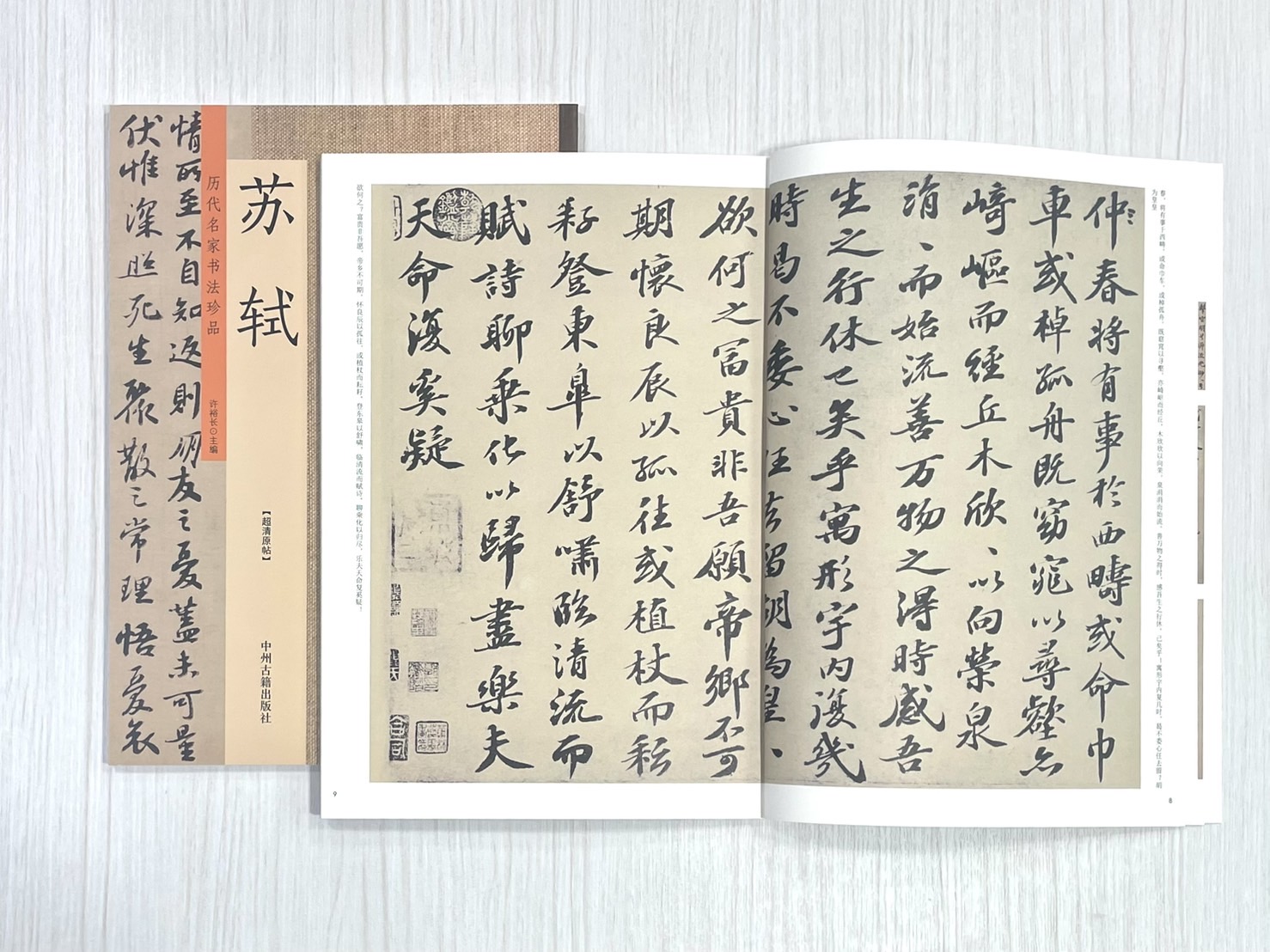 《歷代名家書法珍品 蘇軾》 中州古籍出版社 許裕長 編著