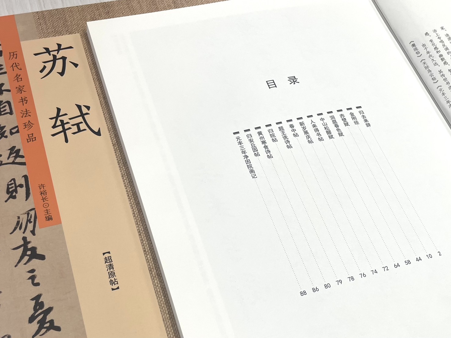 《歷代名家書法珍品 蘇軾》 中州古籍出版社 許裕長 編著
