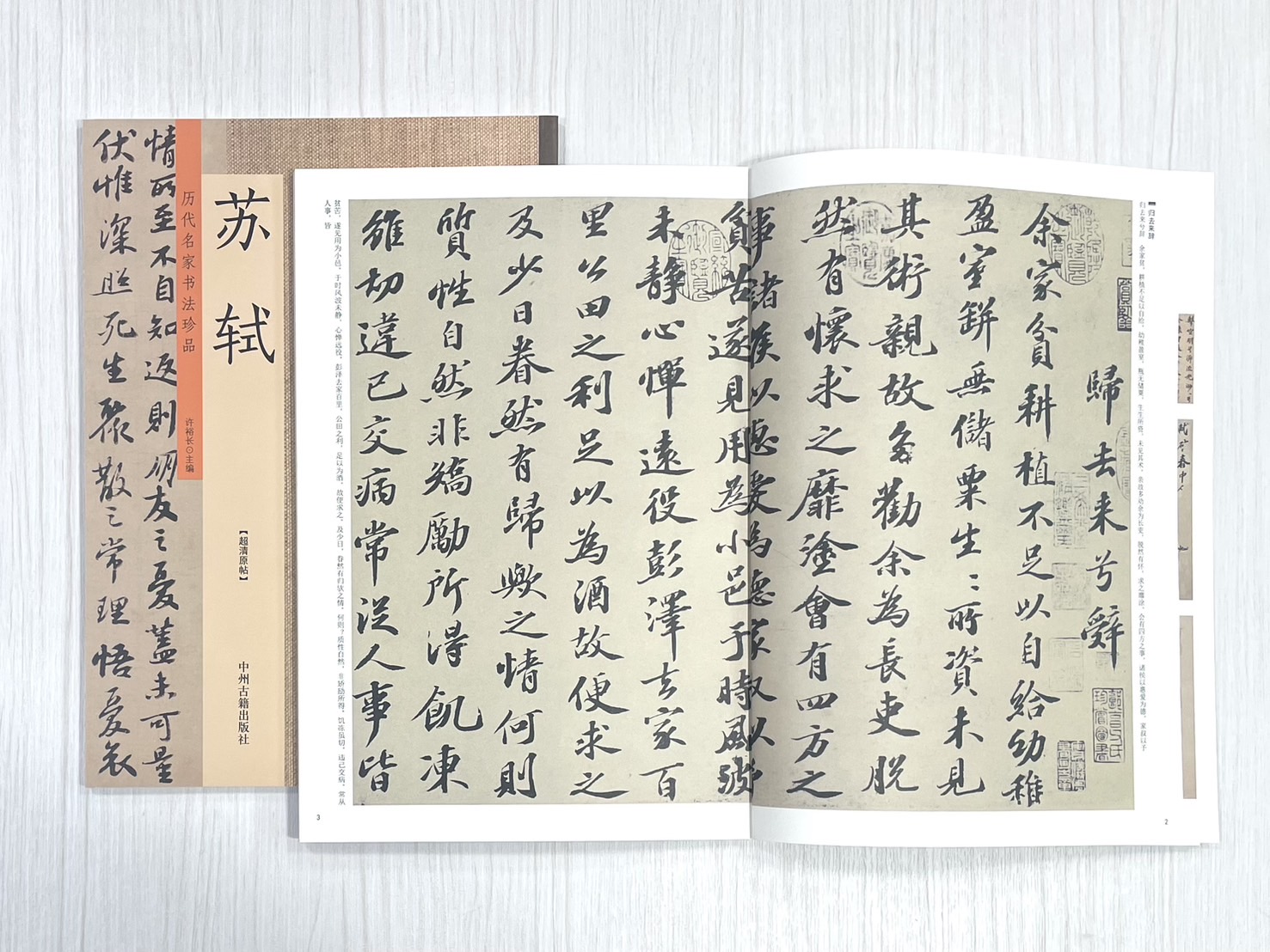 《歷代名家書法珍品 蘇軾》 中州古籍出版社 許裕長 編著