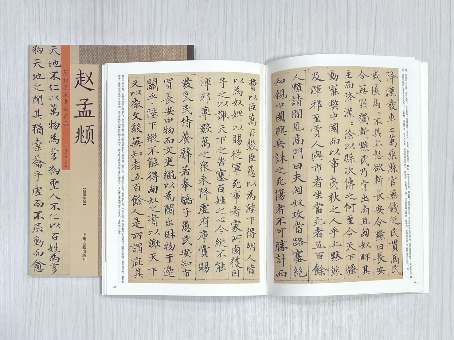 《歷代名家書法珍品 趙孟頫》  中州古籍出版社  許裕長 編著