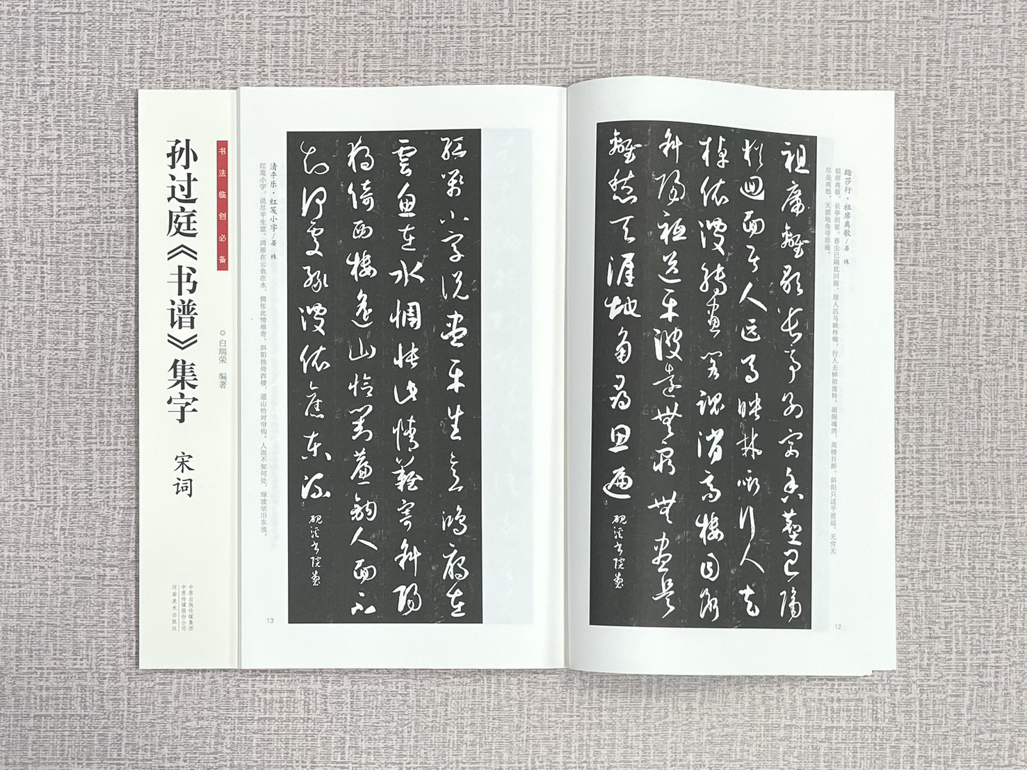 《孫過庭書譜集字 宋詞》 書法臨創必備 河南美術出版社 白瑞榮 編著
