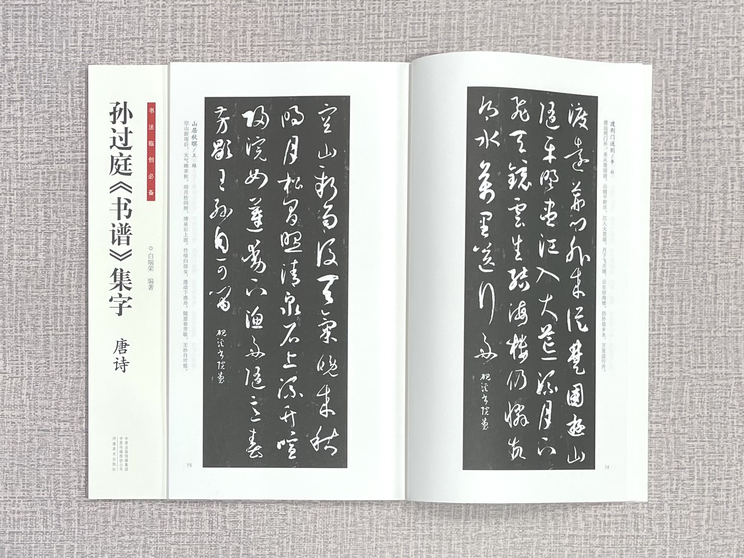 《孫過庭書譜集字 唐詩》 書法臨創必備 河南美術出版社 白瑞榮 編著