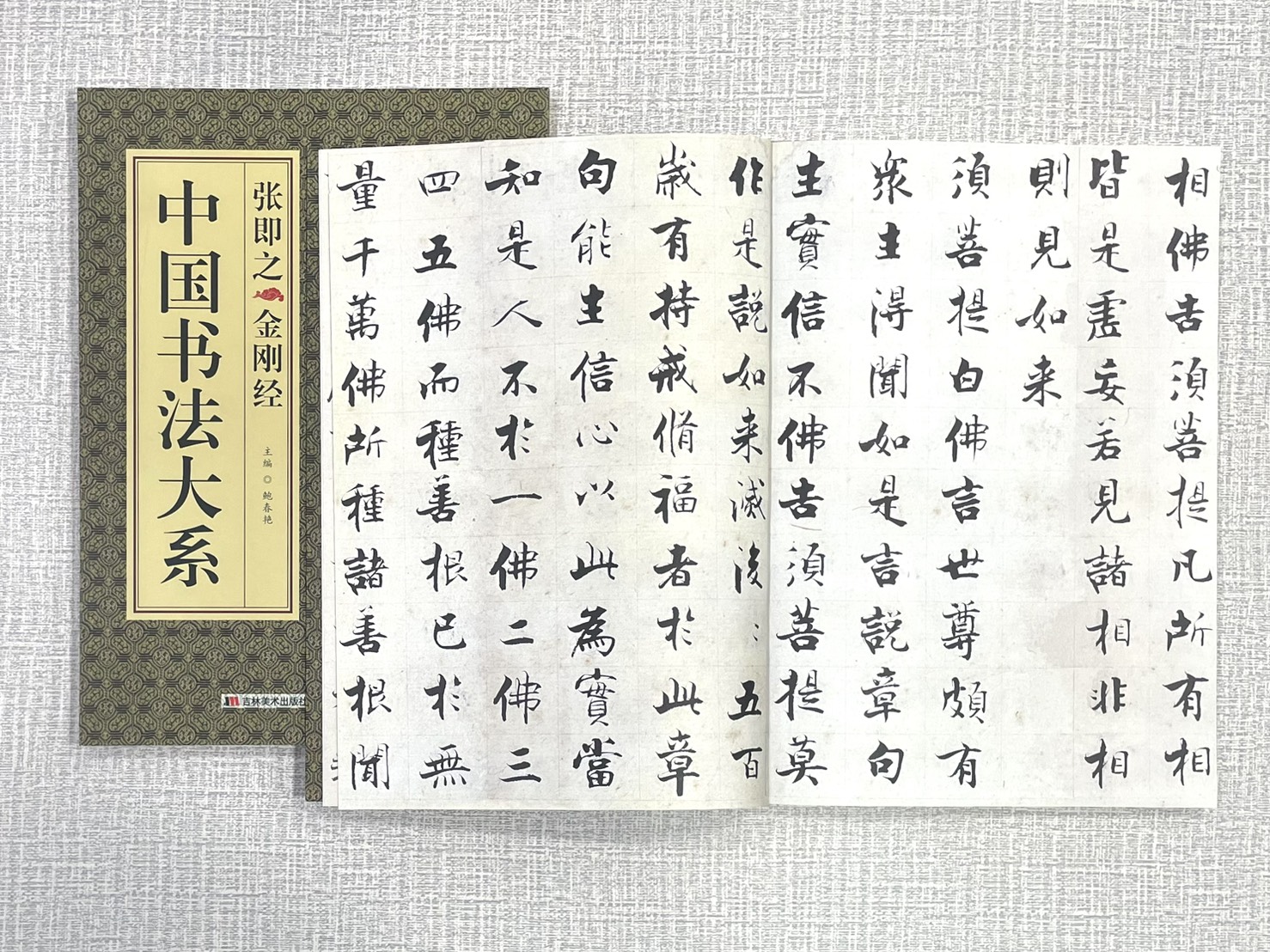《中國書法大系 張即之金剛經》 吉林美術出版社 鮑春艷 編著