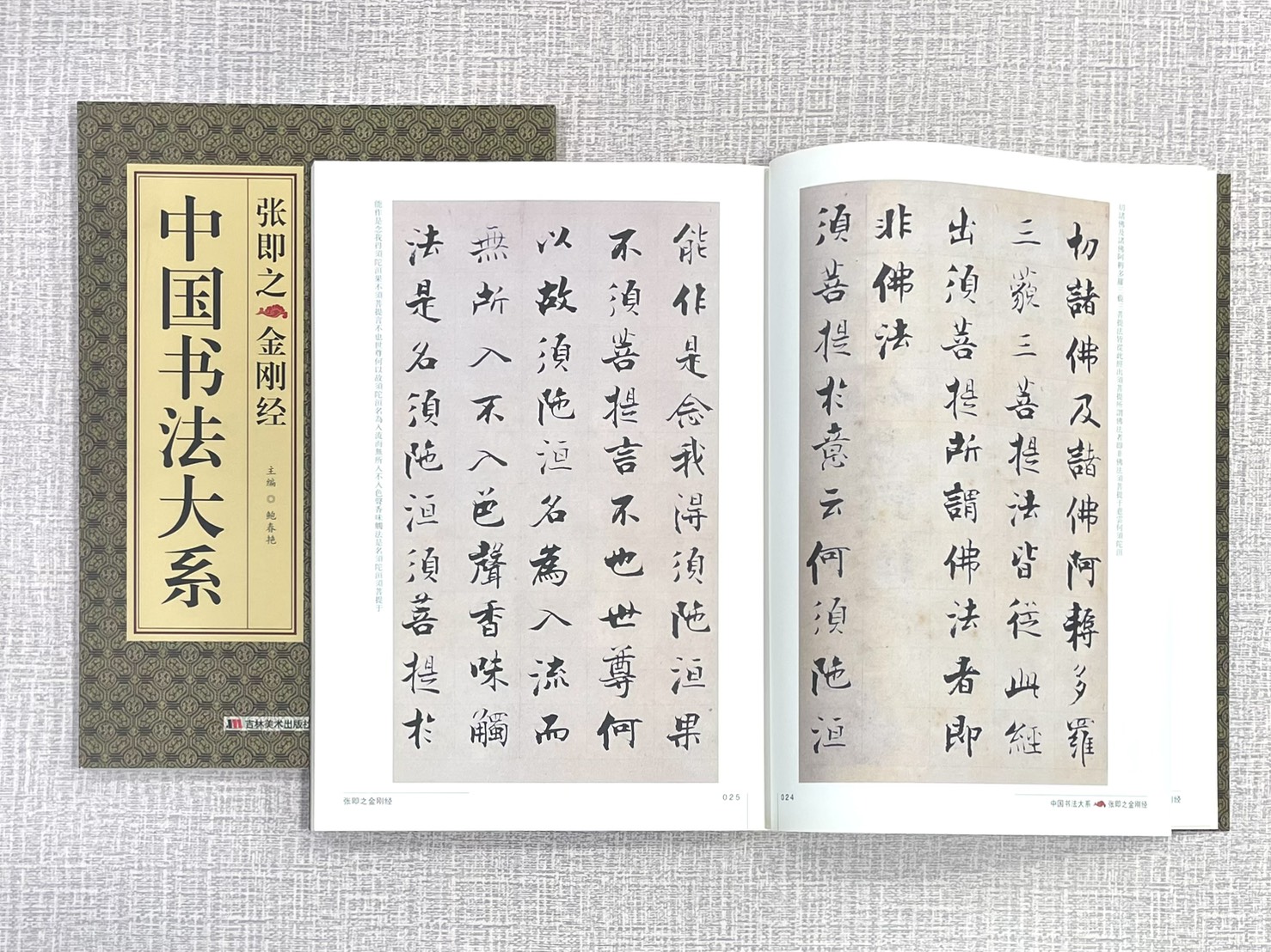 《中國書法大系 張即之金剛經》 吉林美術出版社 鮑春艷 編著