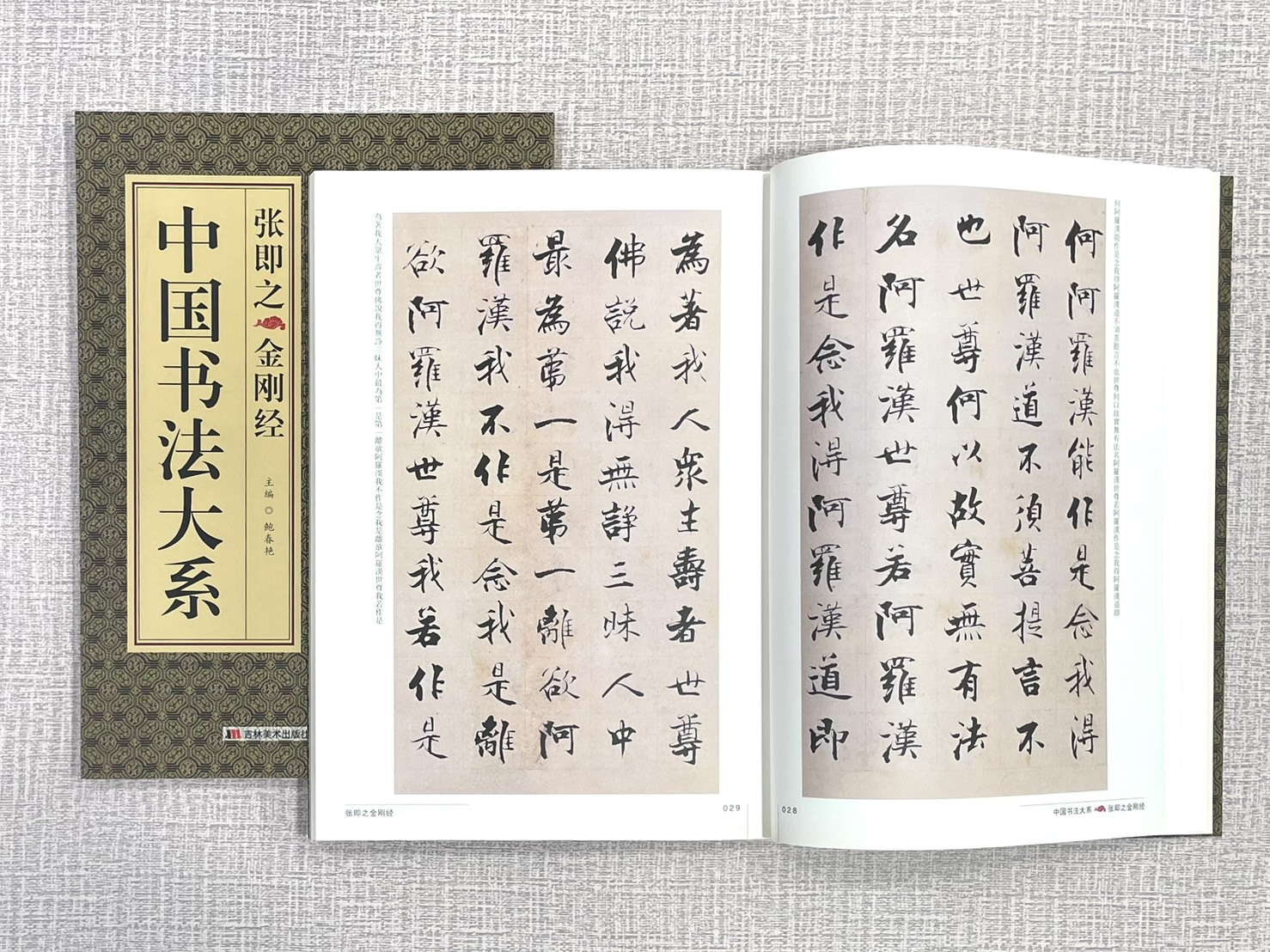 《中國書法大系 張即之金剛經》 吉林美術出版社 鮑春艷 編著