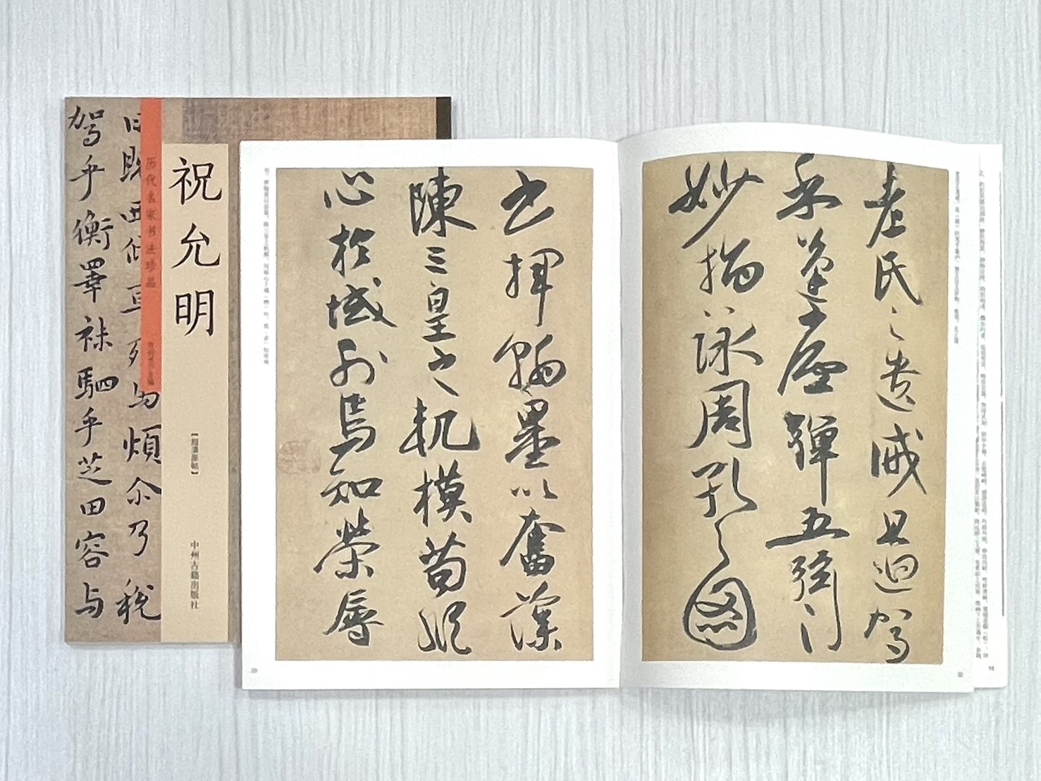 《歷代名家書法珍品 祝允明》 中州古籍出版社 許裕長 編著