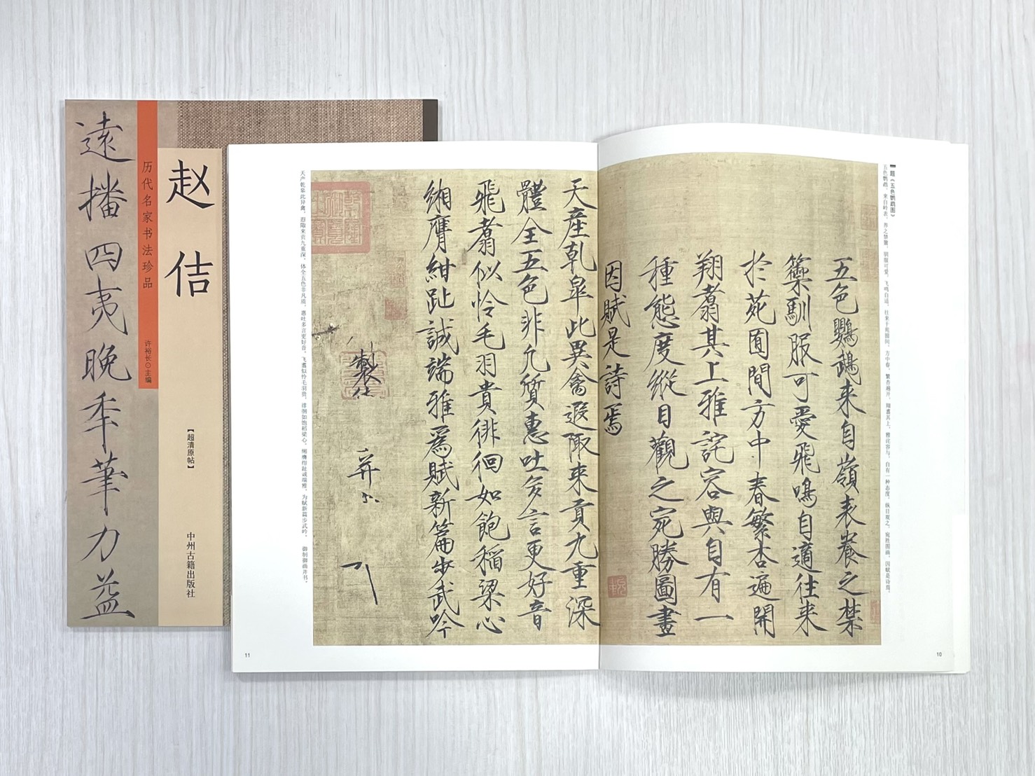 《歷代名家書法珍品 趙佶》 中州古籍出版社 許裕長 編著