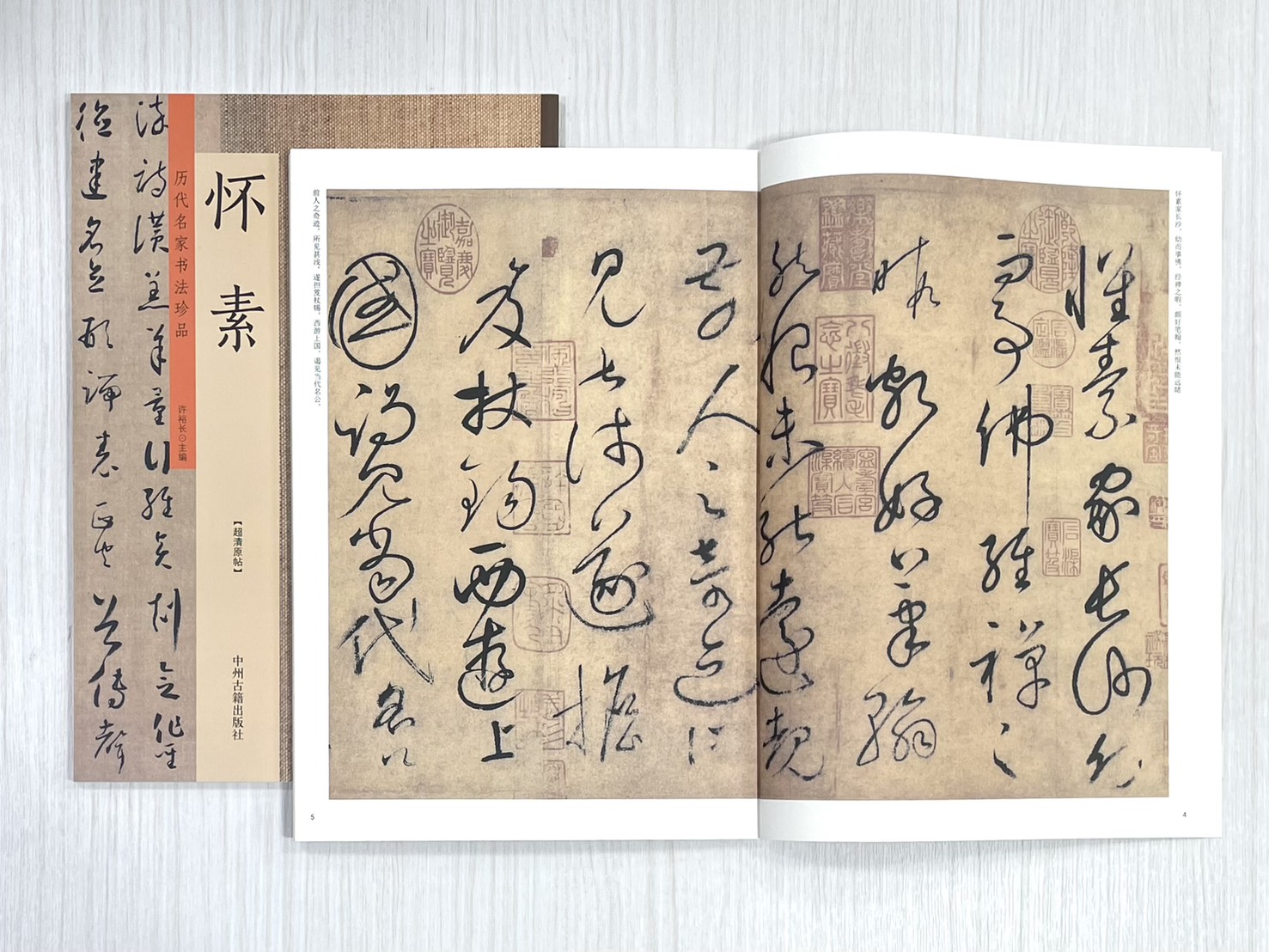《歷代名家書法珍品 懷素》  中州古籍出版社  許裕長 編著