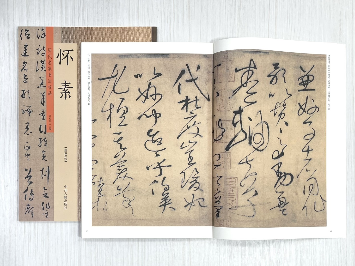 《歷代名家書法珍品 懷素》  中州古籍出版社  許裕長 編著