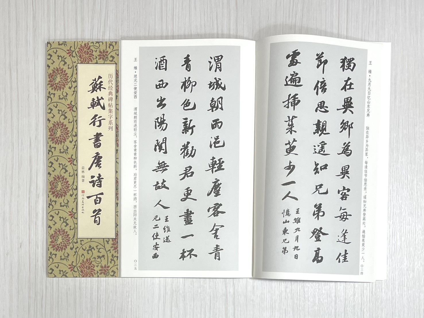 《蘇軾行書唐詩百首》 歷代經典碑帖集字系列 河南美術出版社 苗林編著
