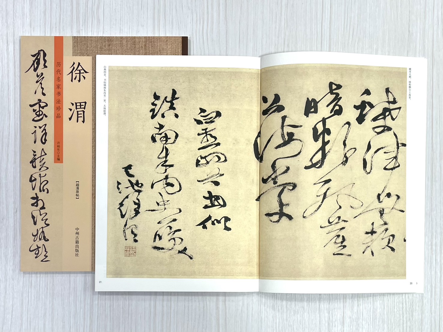 《歷代名家書法珍品 徐渭》 中州古籍出版社 許裕長 編著
