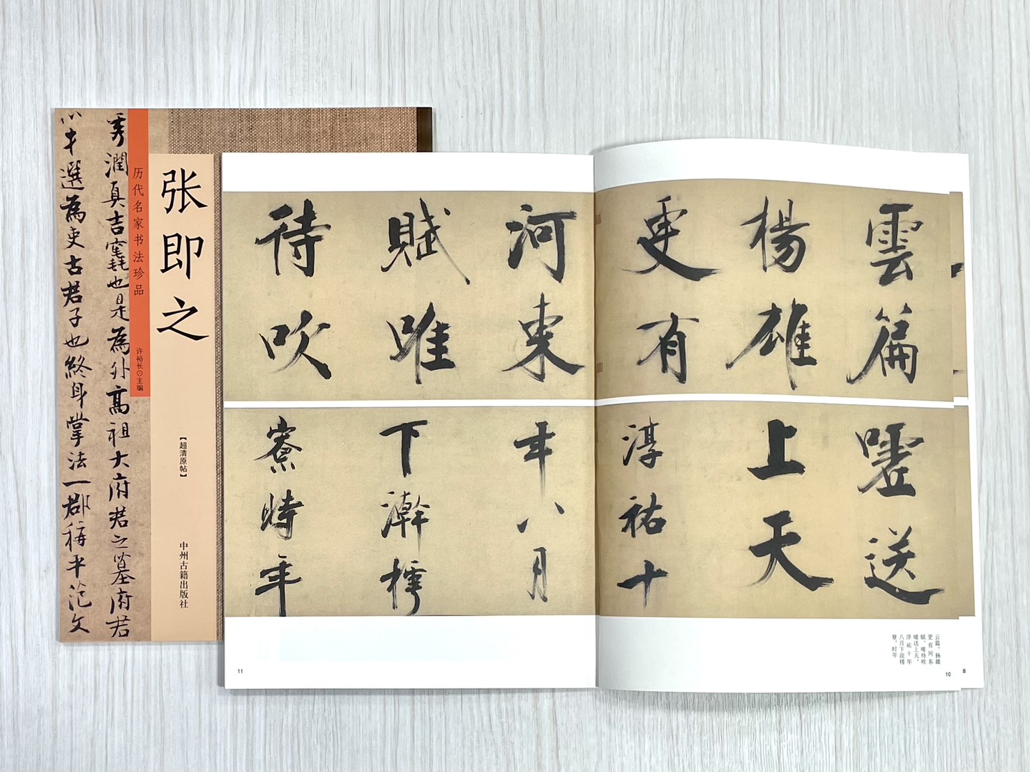 《歷代名家書法珍品 張即之》 中州古籍出版社 許裕長 編著