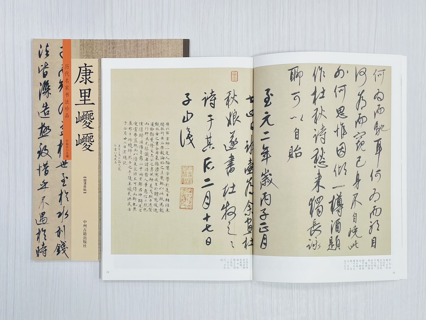 《歷代名家書法珍品 康里巎巎》 中州古籍出版社 許裕長 編著