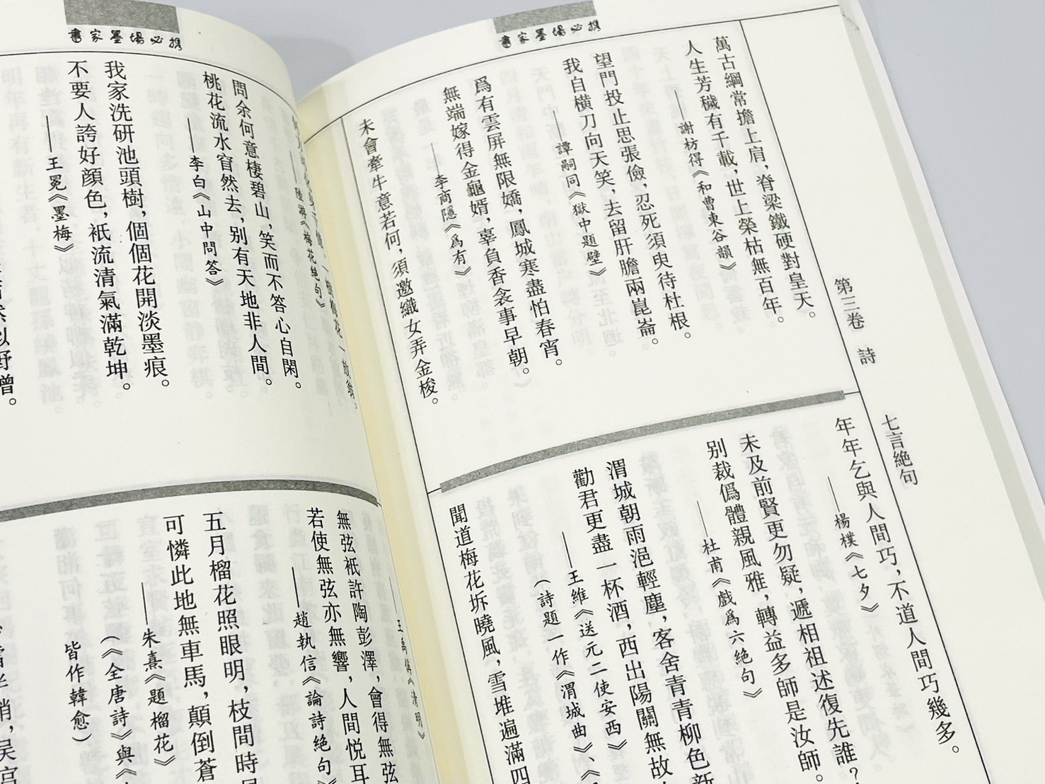 《書家墨場必攜》 河南美術出版社  張同標 編著