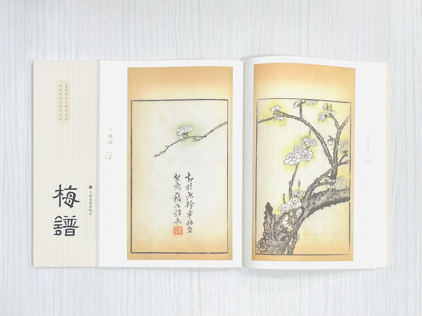 《芥子園畫傳 梅譜》  國家圖書館特藏精品  王㮣 王蓍 王臬 編  上海書畫出版社