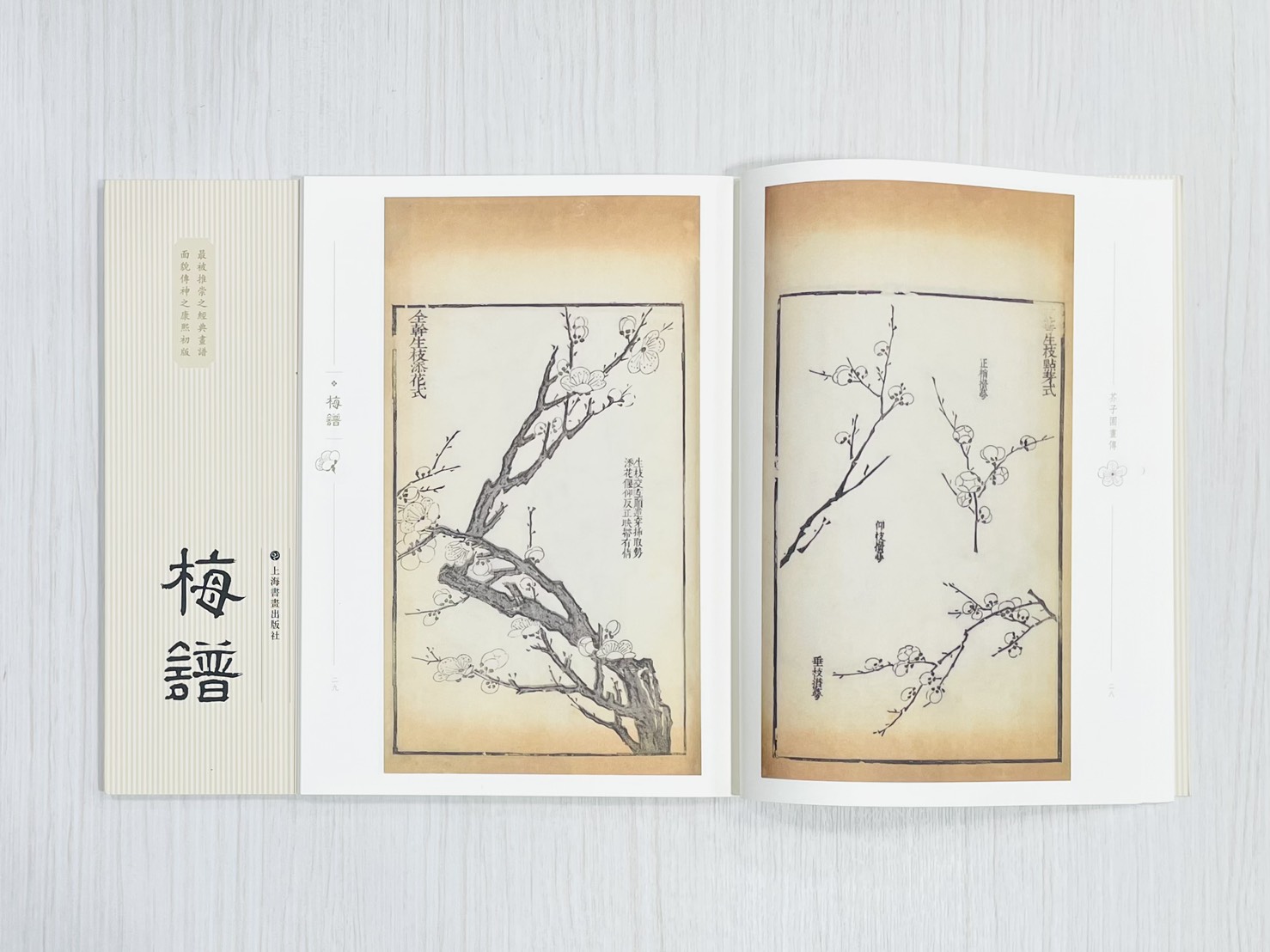 《芥子園畫傳 梅譜》  國家圖書館特藏精品  王㮣 王蓍 王臬 編  上海書畫出版社