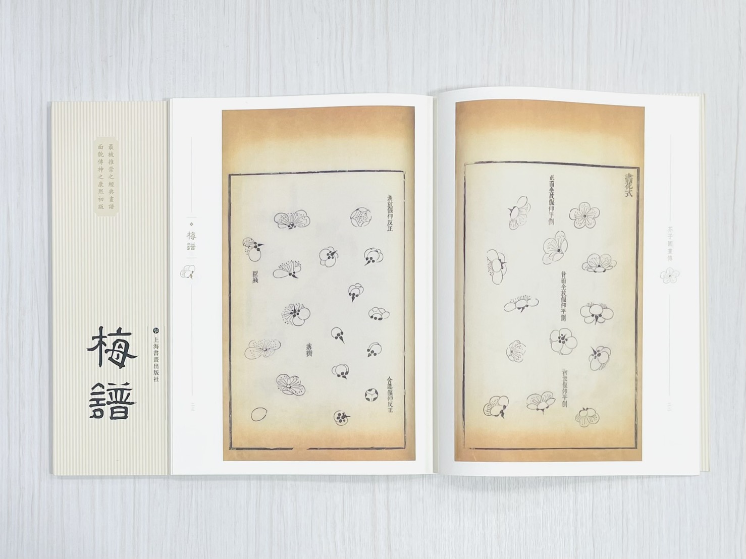 《芥子園畫傳 梅譜》  國家圖書館特藏精品  王㮣 王蓍 王臬 編  上海書畫出版社