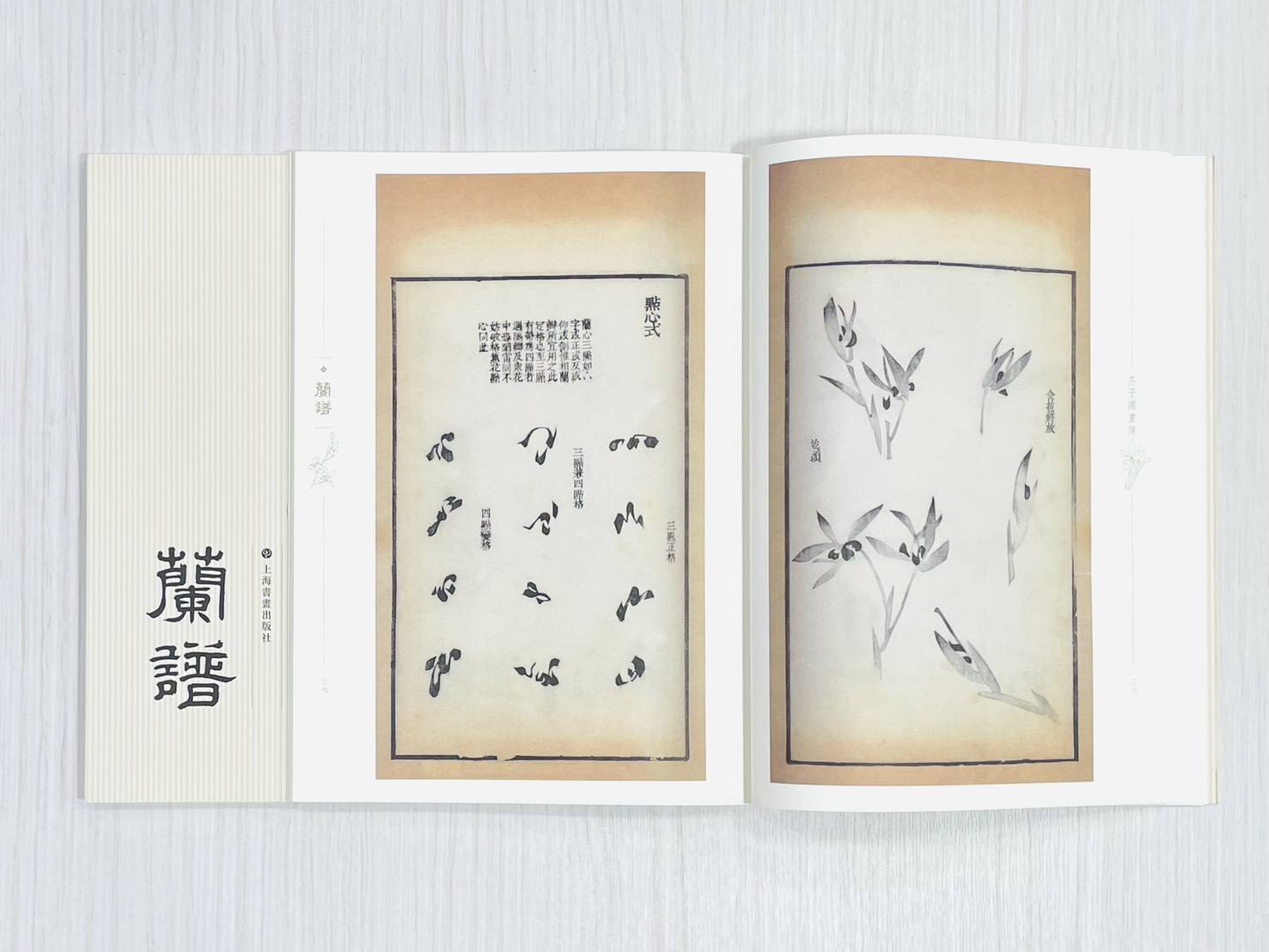 《芥子園畫傳 蘭譜》 國家圖書館特藏精品 王㮣 王蓍 王臬 編 上海書畫出版社