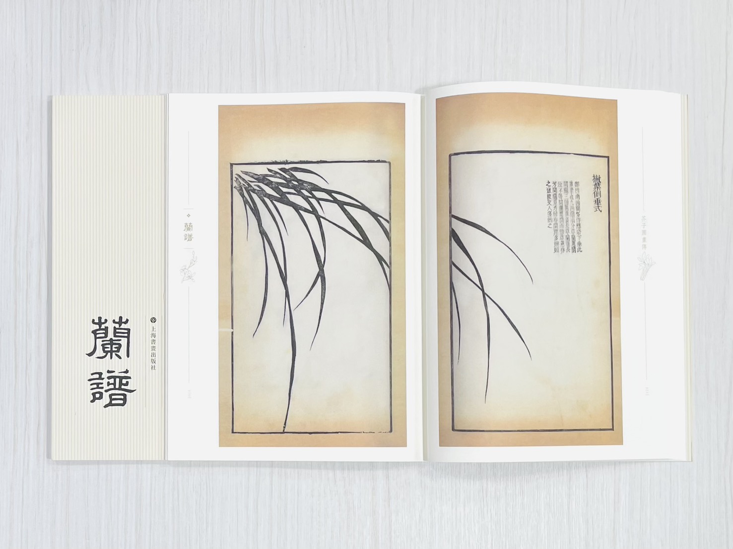 《芥子園畫傳 蘭譜》 國家圖書館特藏精品 王㮣 王蓍 王臬 編 上海書畫出版社