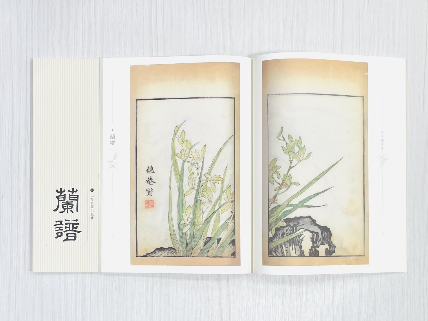 《芥子園畫傳 蘭譜》 國家圖書館特藏精品 王㮣 王蓍 王臬 編 上海書畫出版社