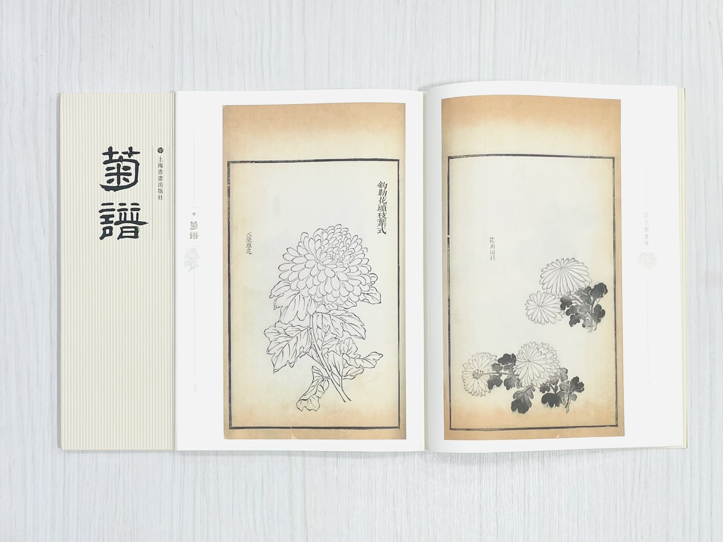 《芥子園畫傳 菊譜》 國家圖書館特藏精品 王㮣 王蓍 王臬 編 上海書畫出版社