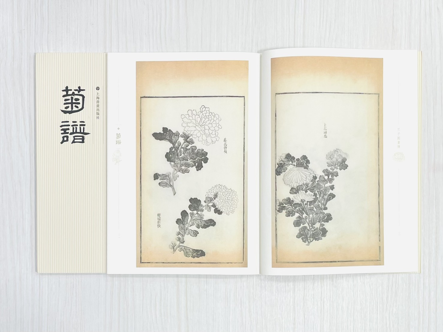 《芥子園畫傳 菊譜》 國家圖書館特藏精品 王㮣 王蓍 王臬 編 上海書畫出版社