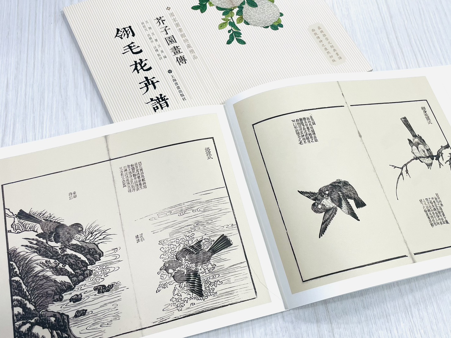 《芥子園畫傳 翎毛花卉譜》  國家圖書館特藏精品  王㮣 王蓍 王臬 編  上海書畫出版社