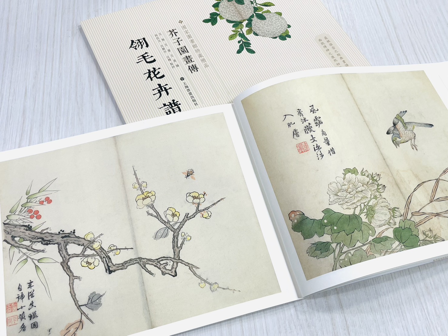 《芥子園畫傳 翎毛花卉譜》  國家圖書館特藏精品  王㮣 王蓍 王臬 編  上海書畫出版社