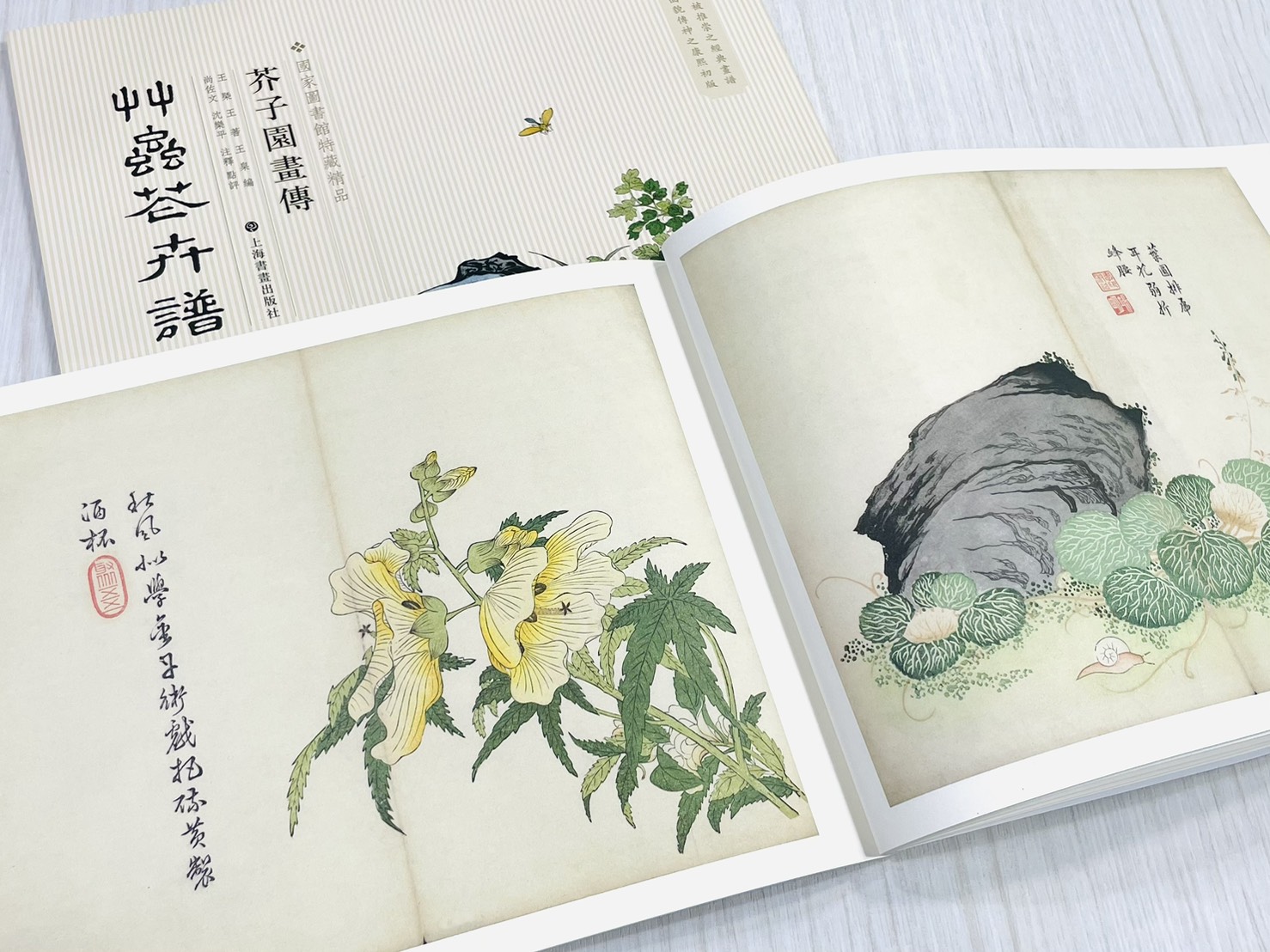 《芥子園畫傳 草蟲花卉譜》 國家圖書館特藏精品 王㮣 王蓍 王臬 編 上海書畫出版社