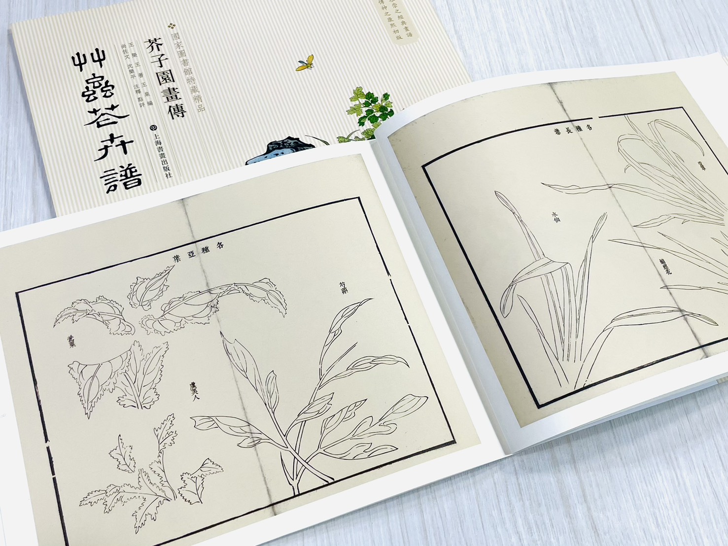 《芥子園畫傳 草蟲花卉譜》 國家圖書館特藏精品 王㮣 王蓍 王臬 編 上海書畫出版社
