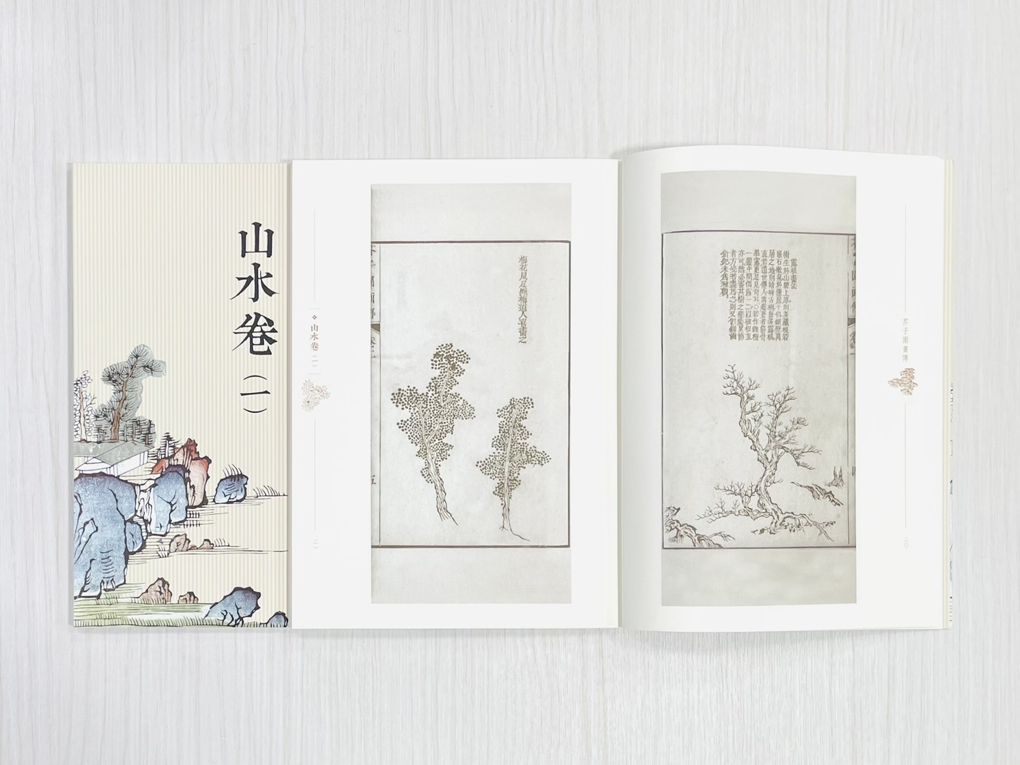 《芥子園畫傳 山水卷（ㄧ）》 國家圖書館特藏精品 王㮣 王蓍 王臬 編 上海書畫出版社