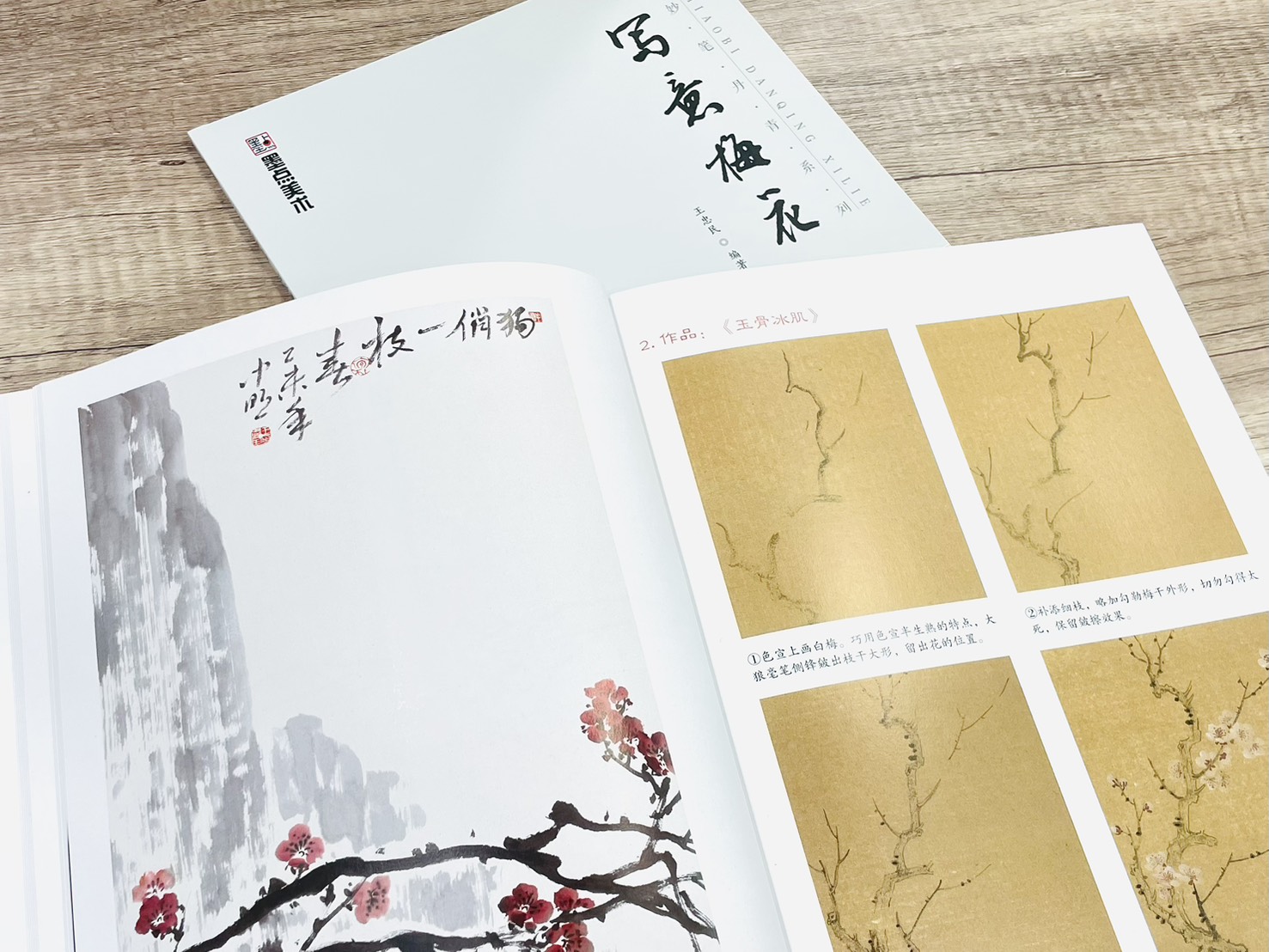 《妙筆丹青系列 寫意梅花》  墨點美術  王忠民 編  浙江人民美術出版社