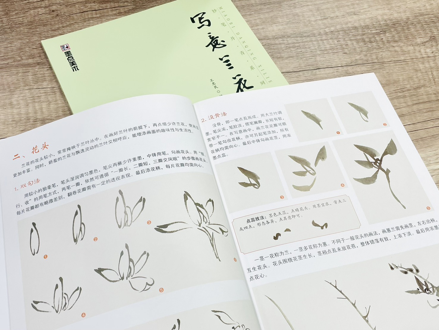 《妙筆丹青系列 寫意蘭花》 墨點美術 王忠民 編 浙江人民美術出版社