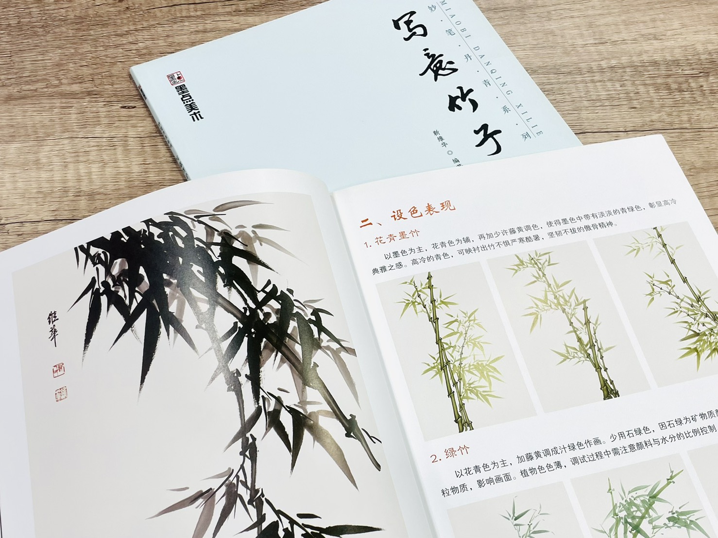 《妙筆丹青系列 寫意竹子》  墨點美術  靳維華 編  浙江人民美術出版社