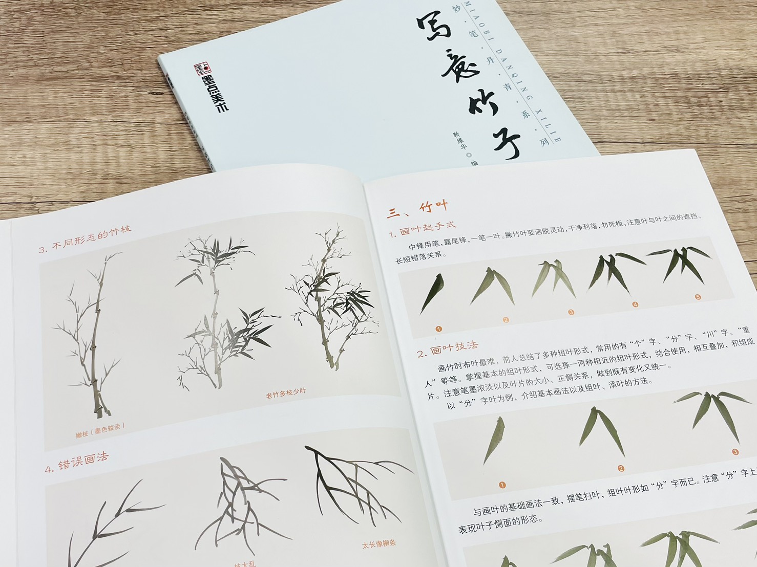 《妙筆丹青系列 寫意竹子》  墨點美術  靳維華 編  浙江人民美術出版社