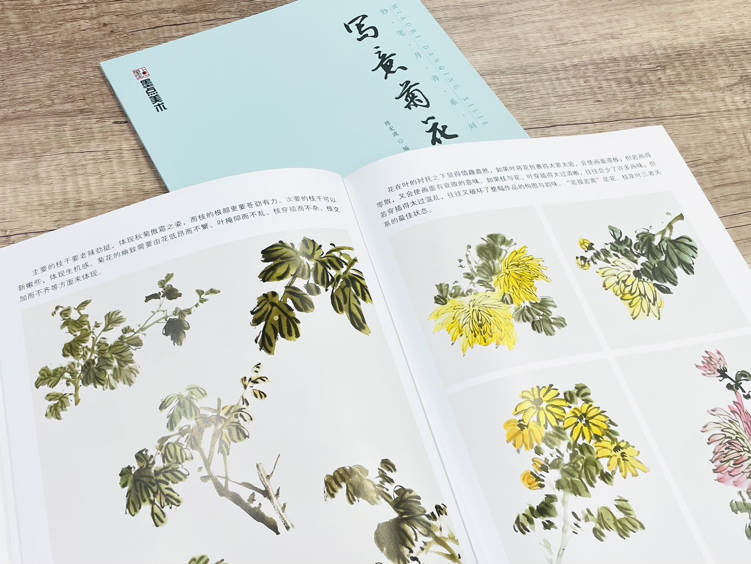 《妙筆丹青系列 寫意菊花》 墨點美術 繆宏波 編 浙江人民美術出版社