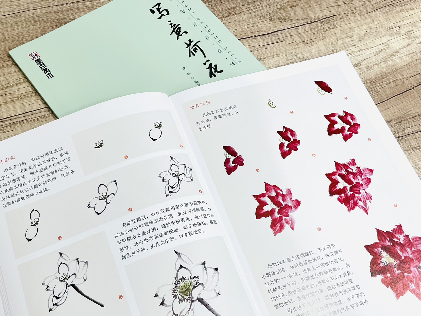 《妙筆丹青系列 寫意荷花》 墨點美術 沈偉 編 浙江人民美術出版社