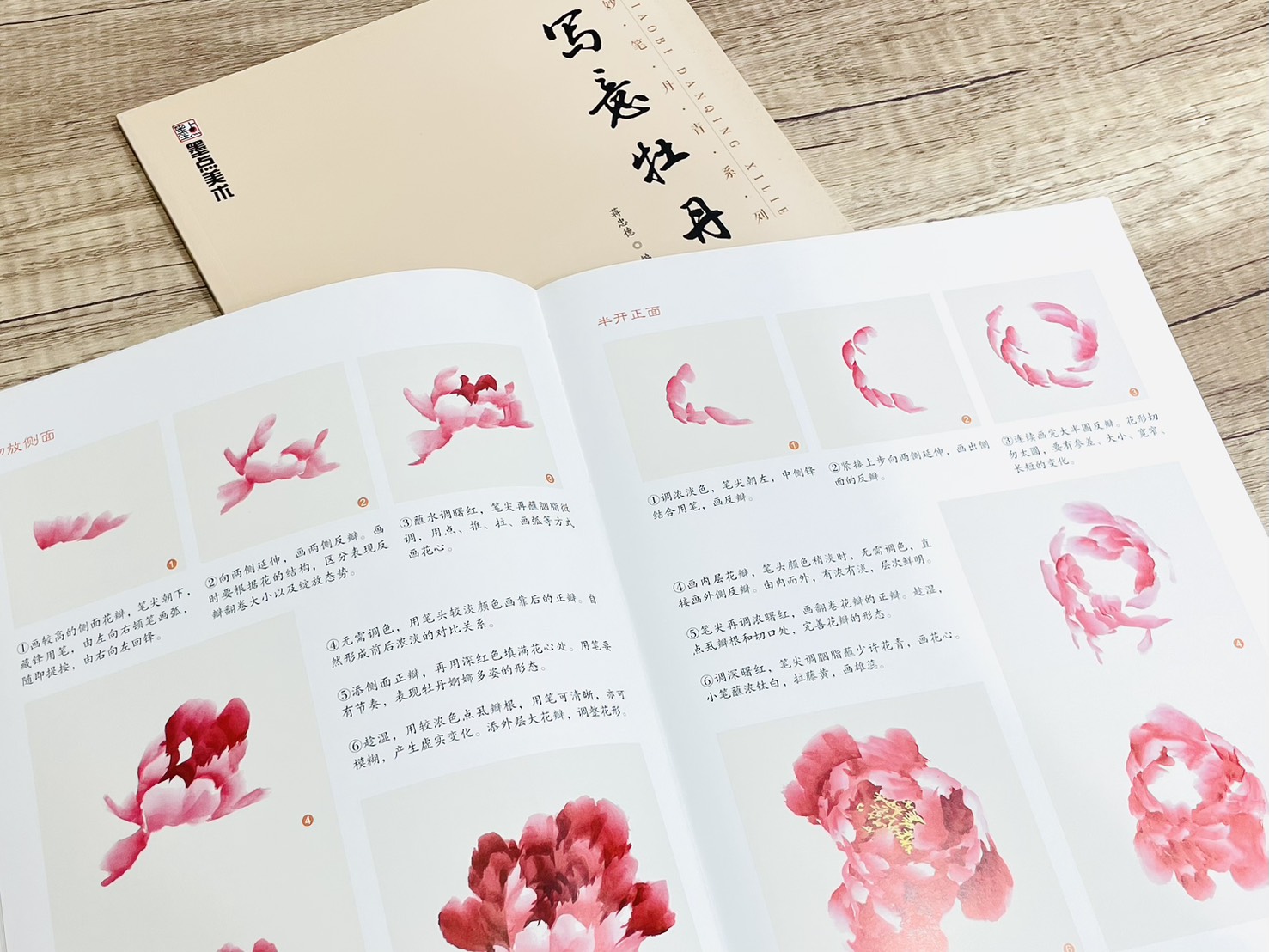 《妙筆丹青系列 寫意牡丹》 墨點美術 蔣忠德 編 浙江人民美術出版社