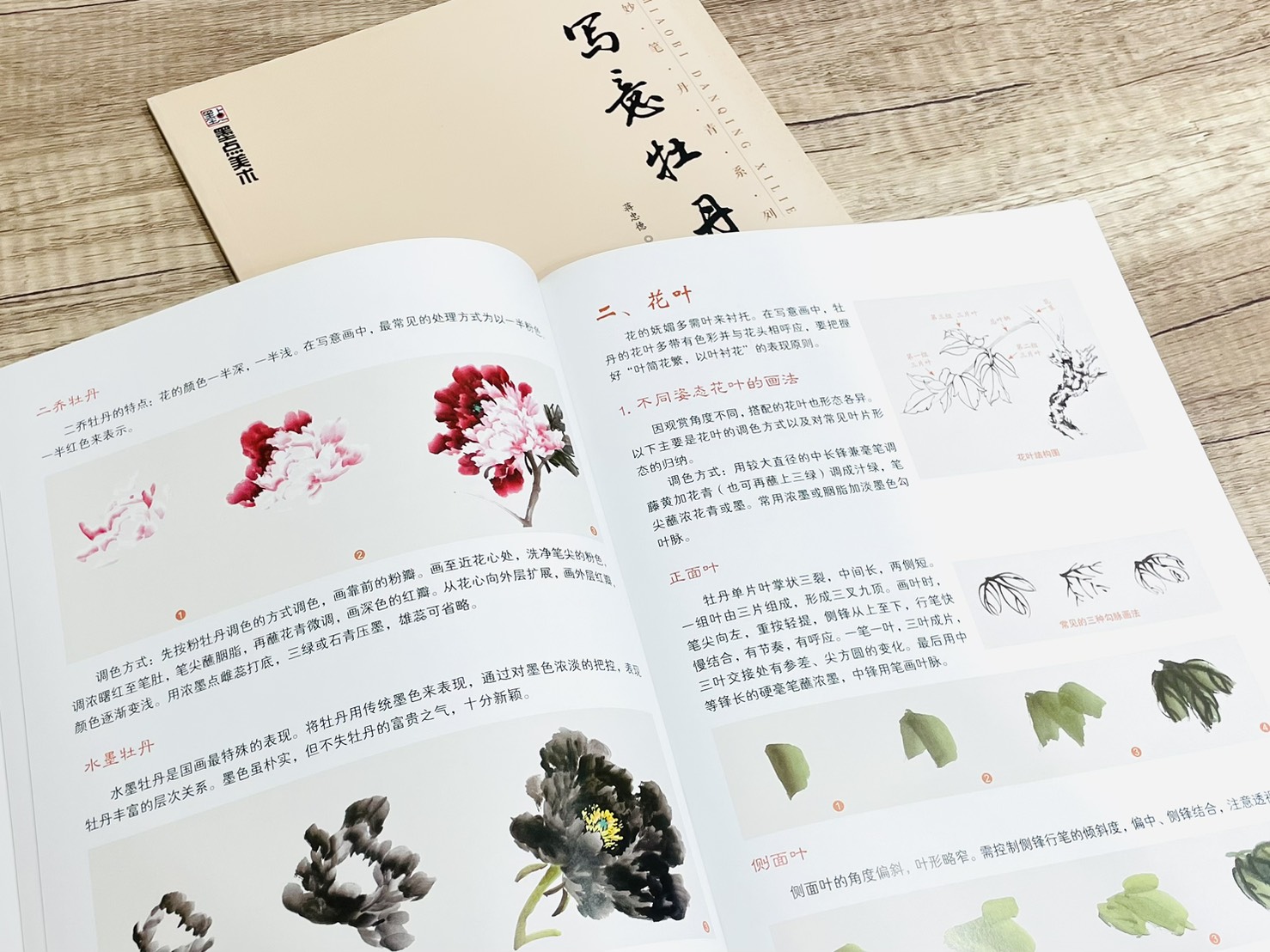 《妙筆丹青系列 寫意牡丹》 墨點美術 蔣忠德 編 浙江人民美術出版社