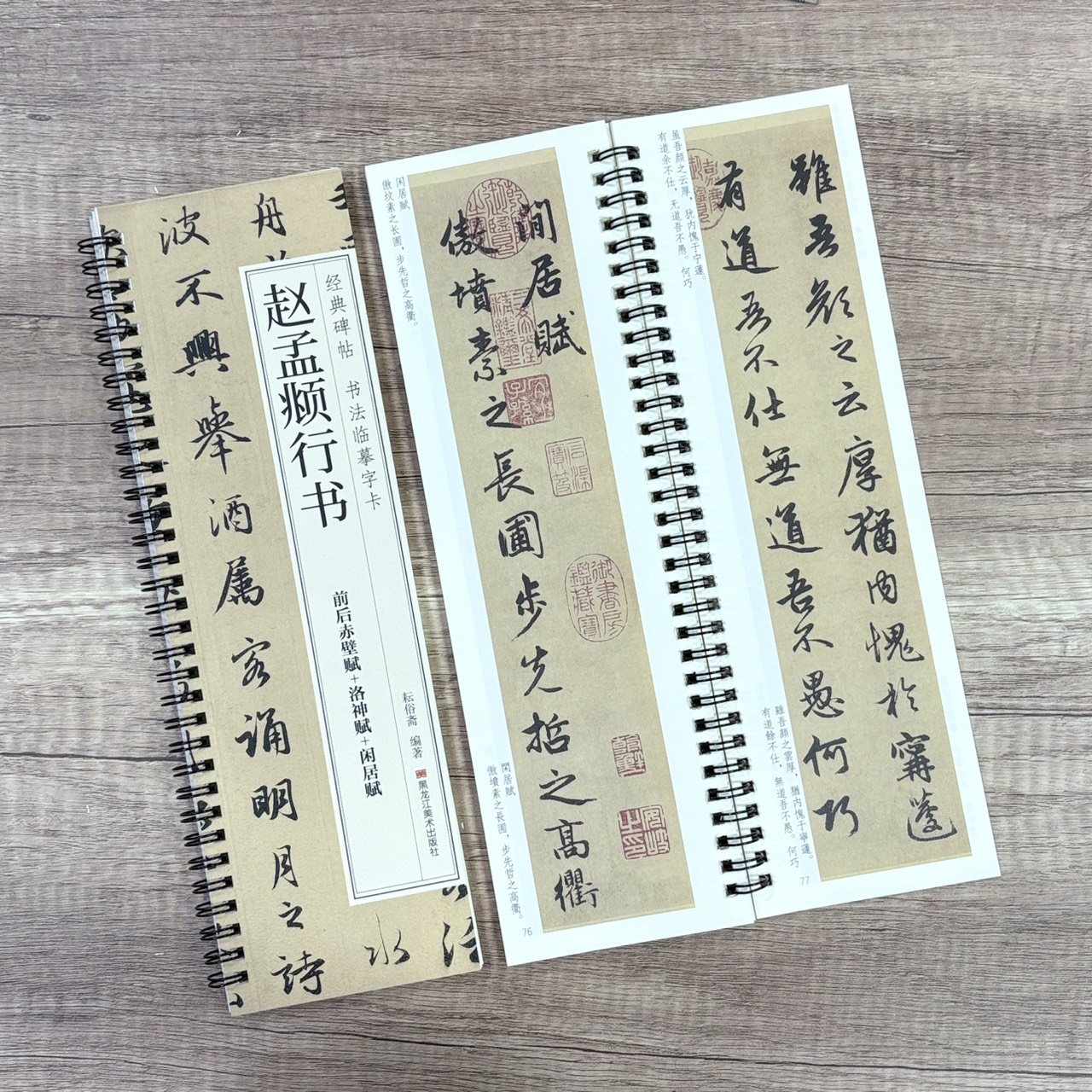 《趙孟頫行書 前後赤壁賦+洛神賦+閑居賦》   經典碑帖 書法臨摹字卡  耘俗齋 編著  黑龍江美術出版社