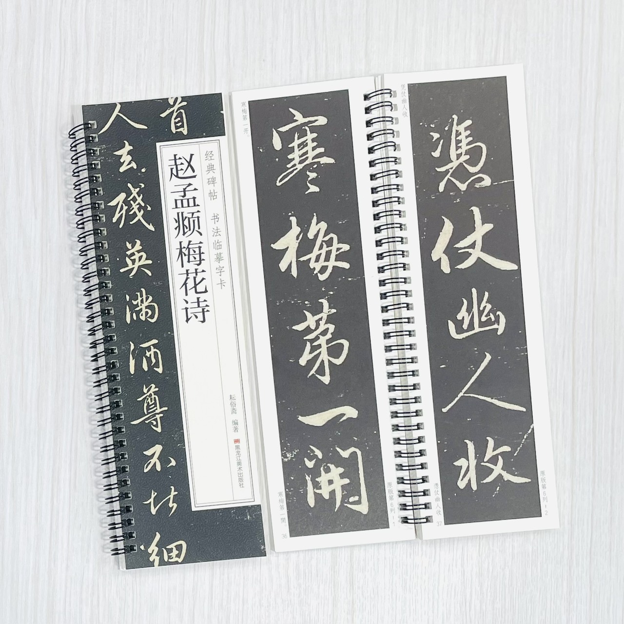 《趙孟頫梅花詩》 經典碑帖 書法臨摹字卡 耘俗齋 編著 黑龍江美術出版社