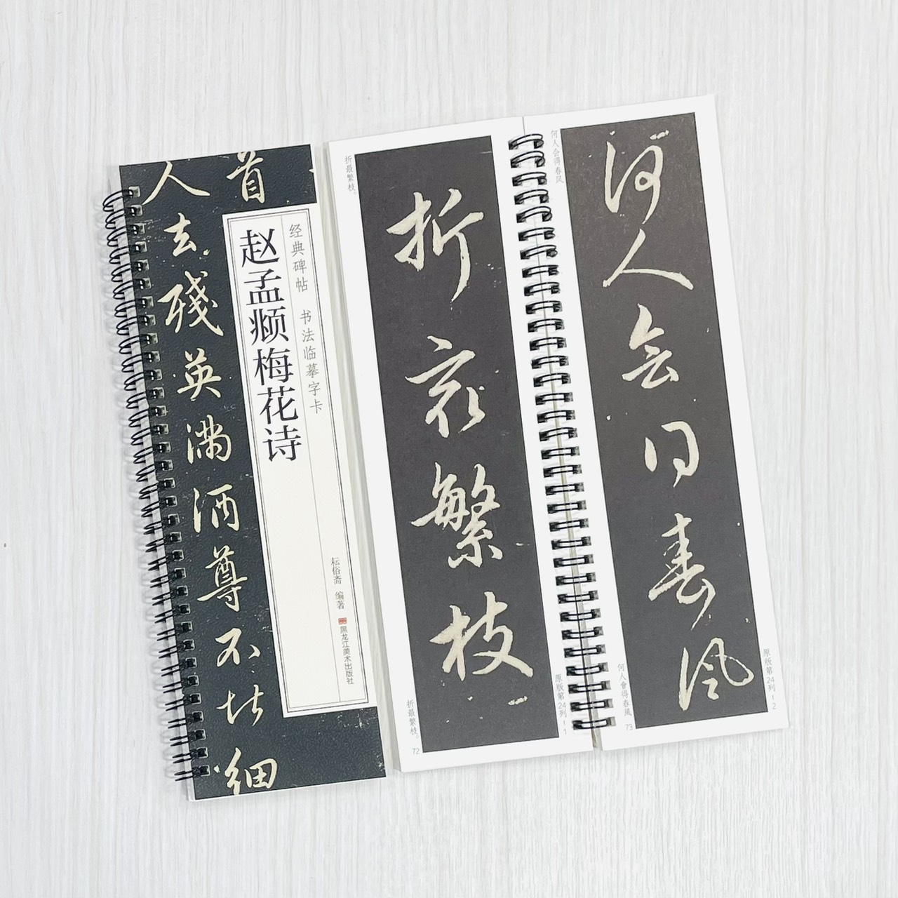 《趙孟頫梅花詩》 經典碑帖 書法臨摹字卡 耘俗齋 編著 黑龍江美術出版社