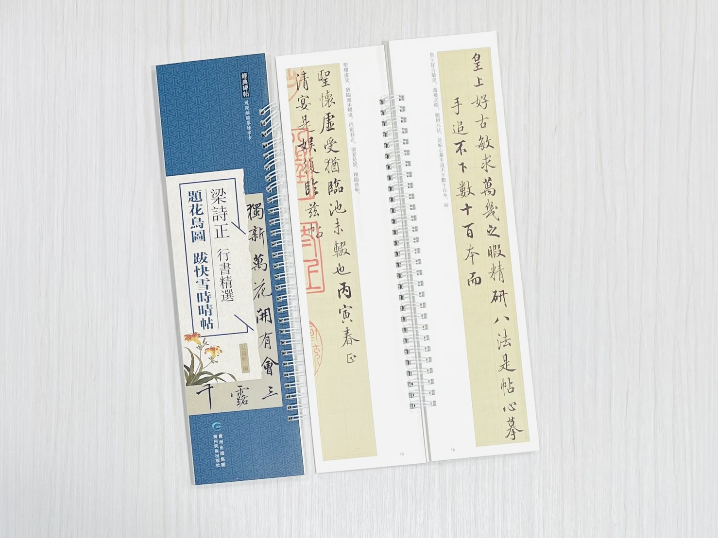 《梁詩正 行書精選 題花鳥圖 跋快雪時晴帖》 經典碑帖 近距離臨摹練字卡 弘蘊軒 編著 貴州民族出版社