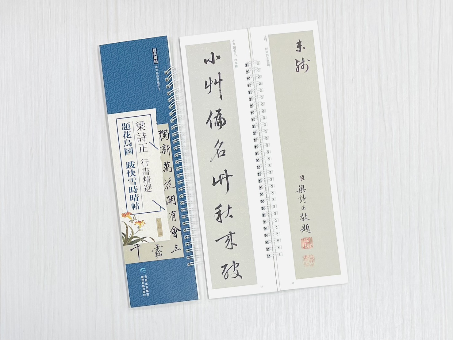《梁詩正 行書精選 題花鳥圖 跋快雪時晴帖》 經典碑帖 近距離臨摹練字卡 弘蘊軒 編著 貴州民族出版社