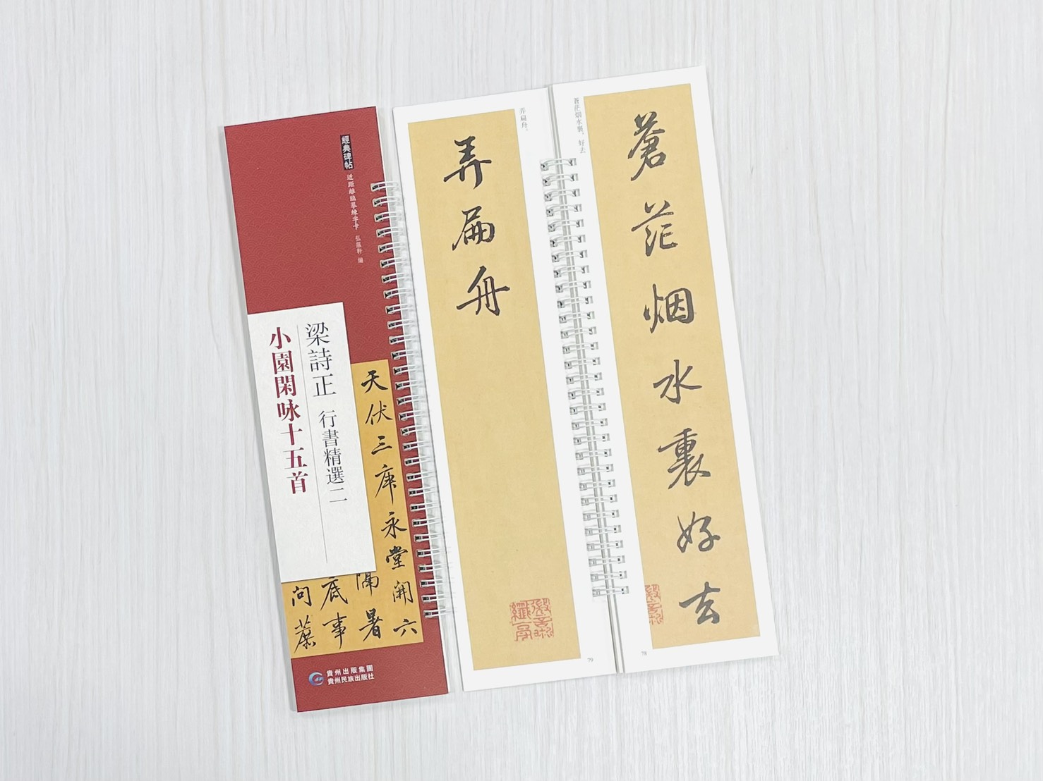 《梁詩正 行書精選二 小園閑咏十五首》 經典碑帖 近距離臨摹練字卡 弘蘊軒 編著 貴州民族出版社