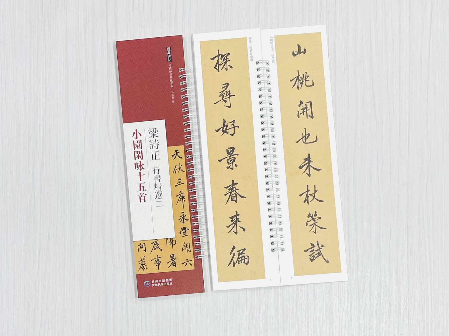 《梁詩正 行書精選二 小園閑咏十五首》 經典碑帖 近距離臨摹練字卡 弘蘊軒 編著 貴州民族出版社